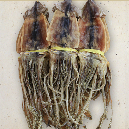 배오징어 2kg(20미)